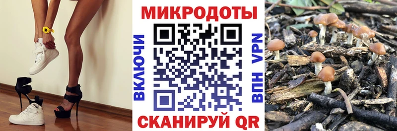 Галлюциногенные грибы MAGIC MUSHROOMS  Купить где  Ангарск 